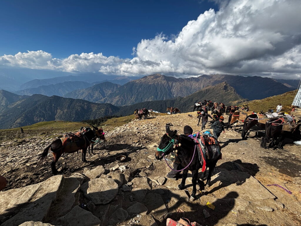 Mountain trail with horses and hikers.